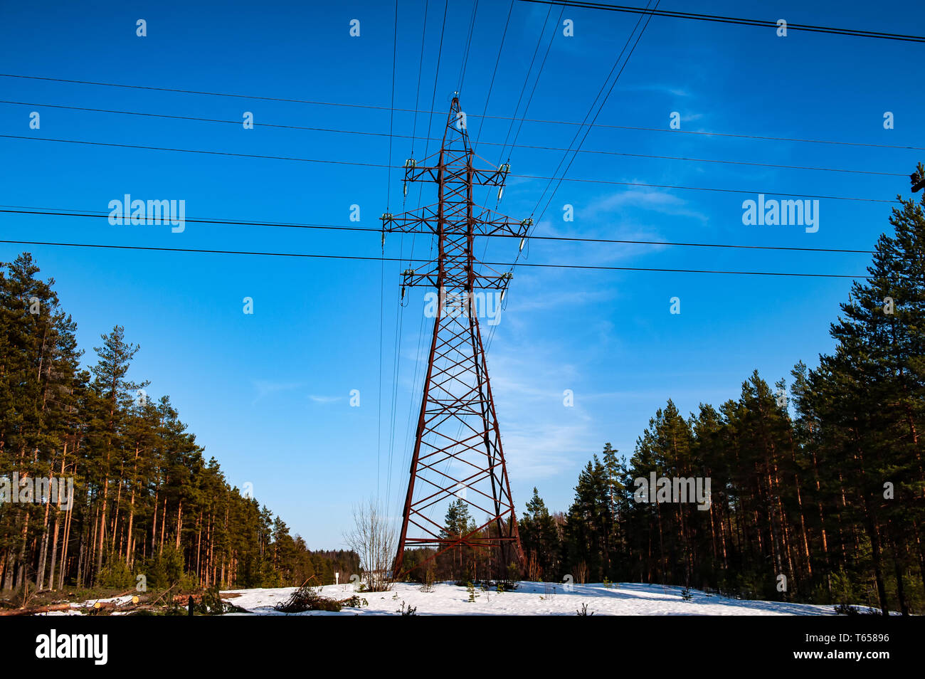 Elektrische Hochspannungsleitung im Wald lsndscape im Frühjahr Stockfoto