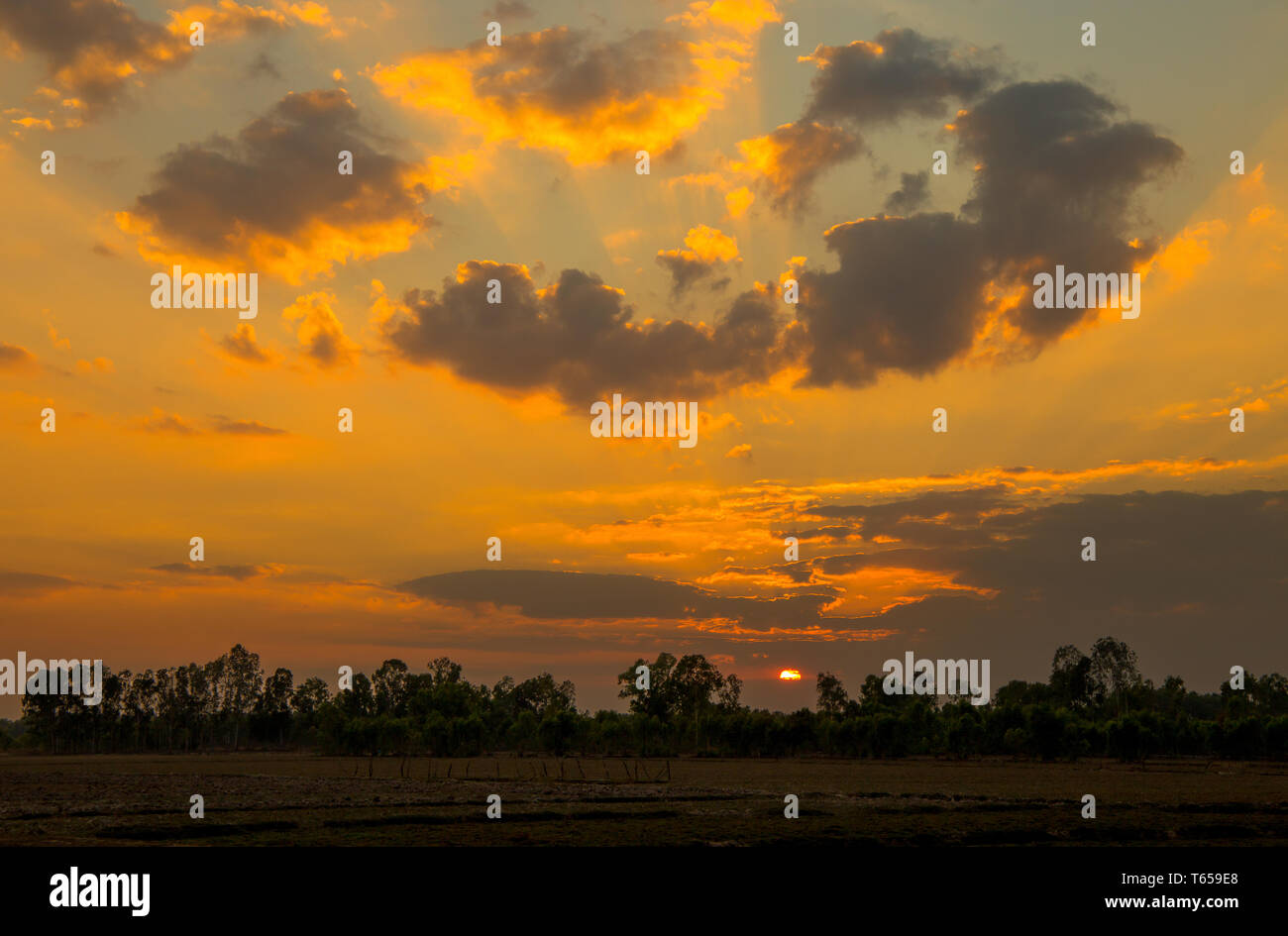 Sonnenuntergang in einem Feld Land im Nordosten von Thailand, Asien Stockfoto