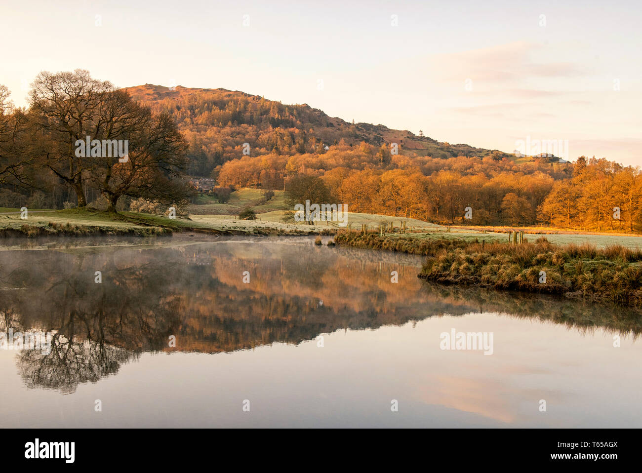 Einem nebligen Morgen auf dem Fluss Brathay in der Nähe von elterwater im Nationalpark Lake District, Cumbria England Großbritannien Stockfoto