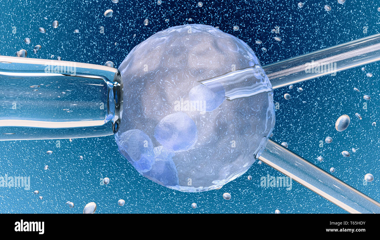 3D-Illustration: Künstliche Befruchtung: Glas Nadel Düngung eine weibliche Eizelle auf dunkelblauem Hintergrund mit Blasen. Medizinisches Konzept Stockfoto