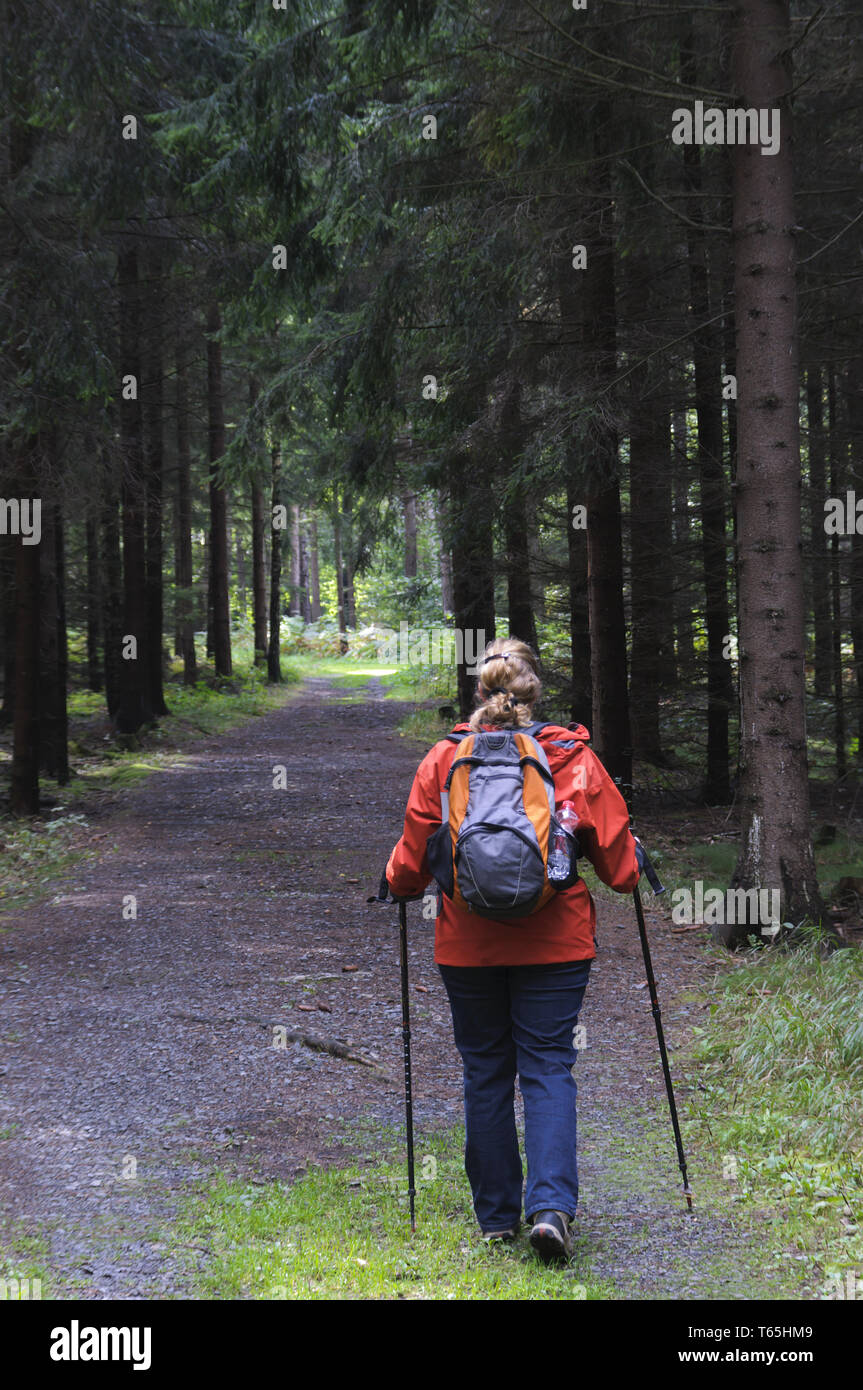 Frau zu Wandern im Wald Stockfoto