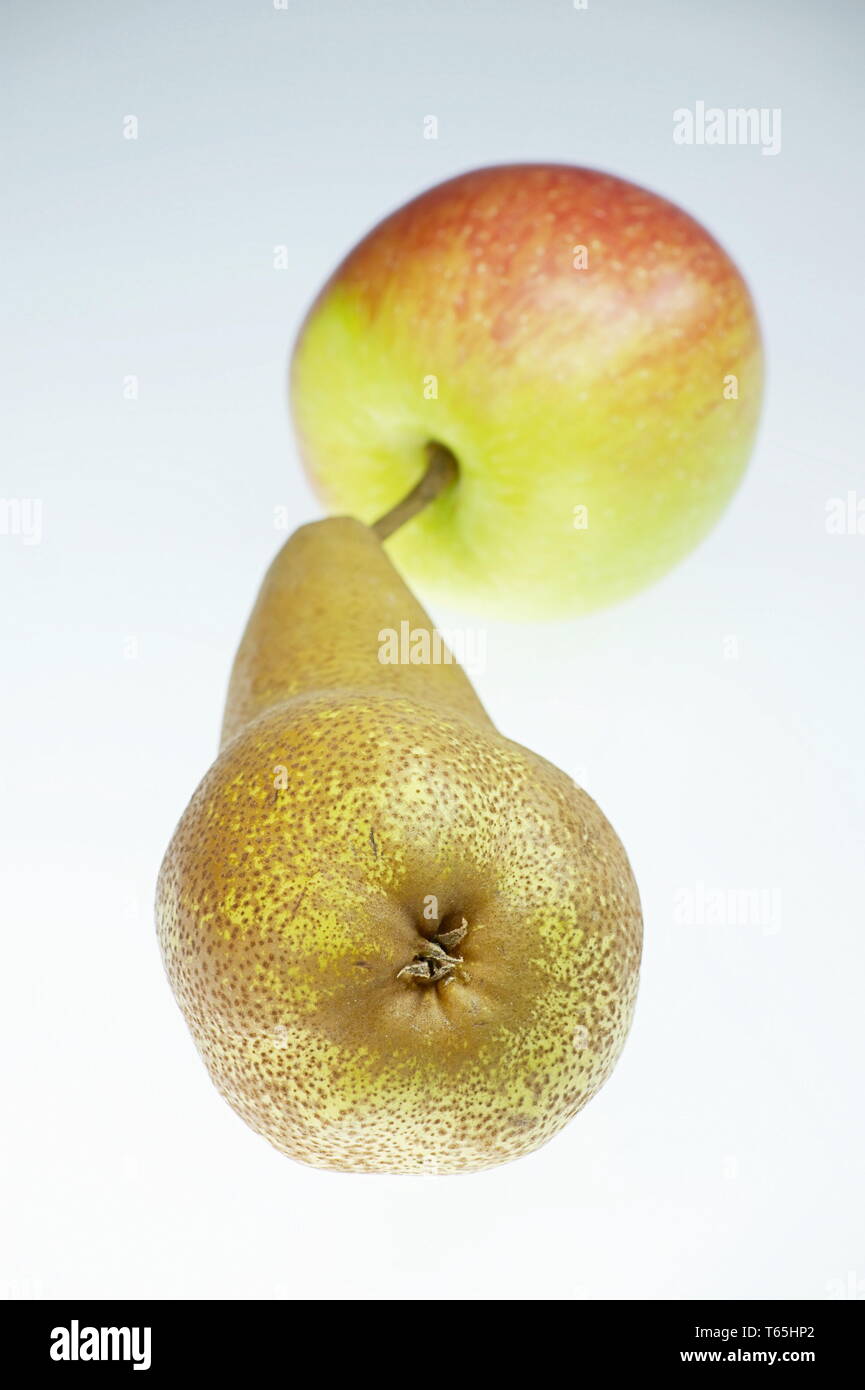 Apfel und Birne Stockfoto