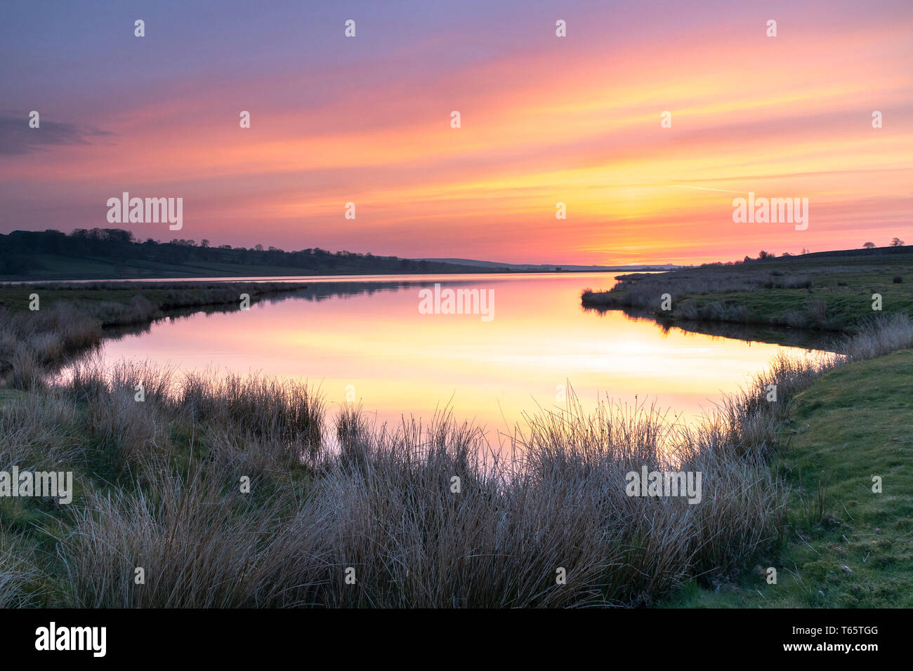 Schön, Dawn Licht spiegelt sich in den ruhigen Gewässern der Hury Reservoir, Baldersdale, Teesdale, County Durham, UK Stockfoto