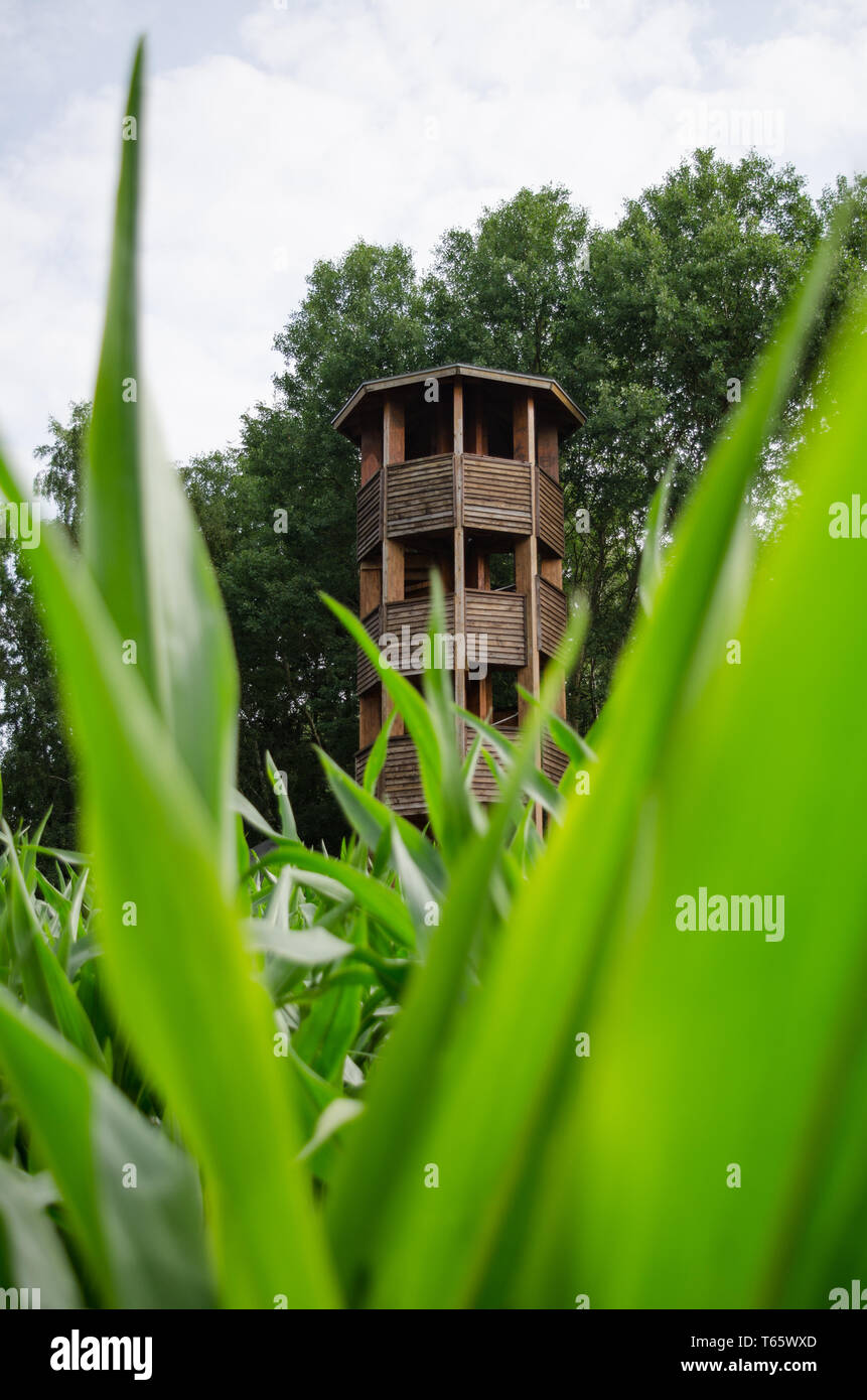 Holz- Turm Stockfoto