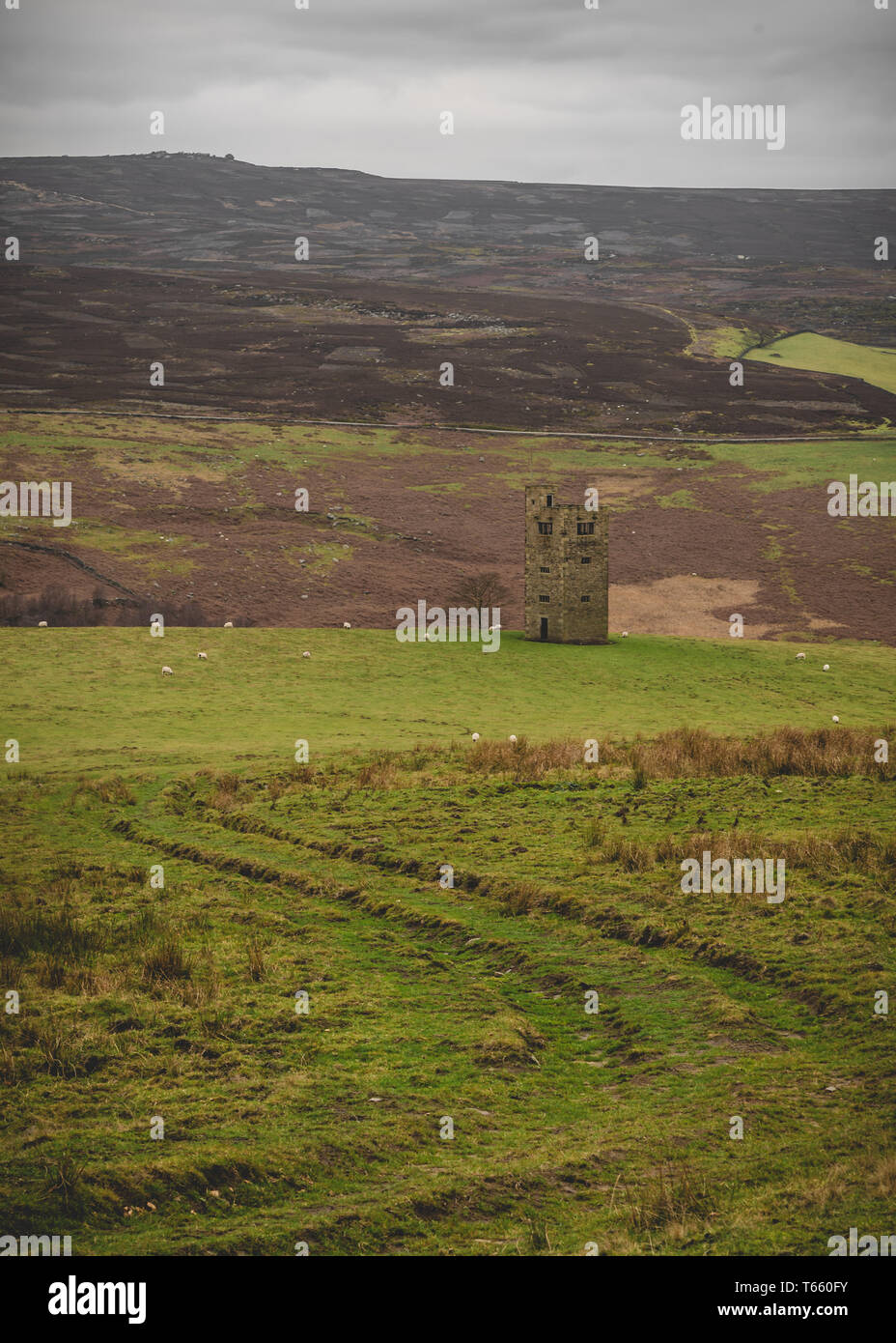 Stein Turm im Peak District Moorland Stockfoto