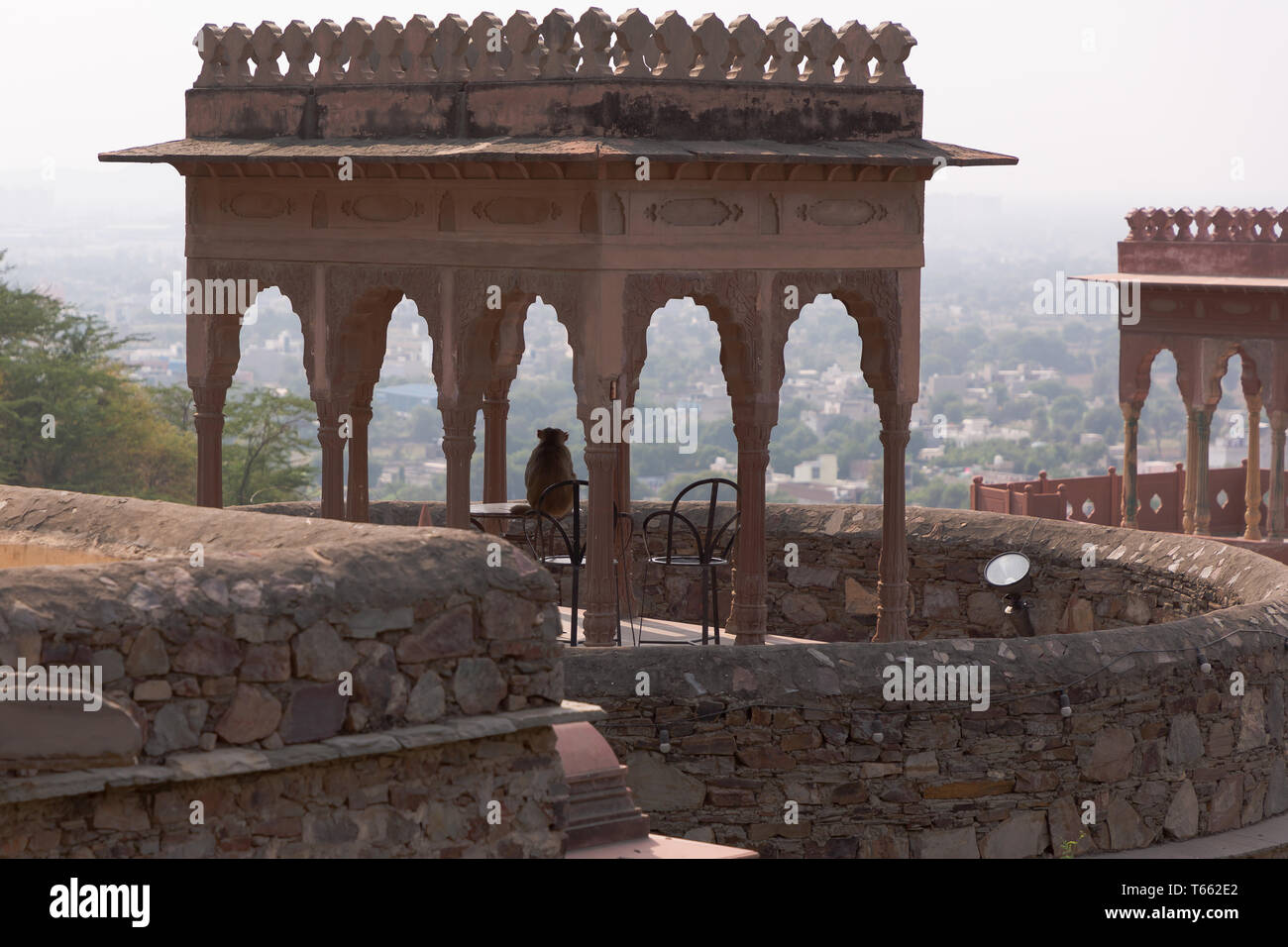 Affe sitzt am Fort Turm bei Neemrana Fort Palace in Rajasthan, Indien Stockfoto
