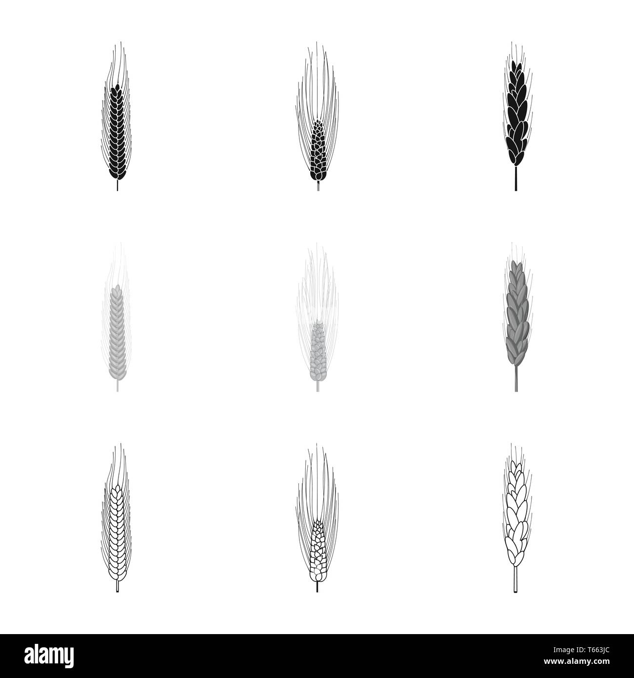 Gerste, Frühling, Winter, Spike, Hartweizen, Mehl, Saatgut, Erntegut, Kleie, Maisfeld, Getreide, Stroh, Reif, Essen, Wiese, Gold, ländlich, Grün, Landwirtschaft, Landwirtschaft, Roggen, Weizen, Mais, Getreide, Ernte, Bauernhof, Feld, Set, Vector, Icon, Illustration, isoliert, Sammlung, Design, Element, Grafik, Zeichen, Vektor, Vektoren, Stock Vektor