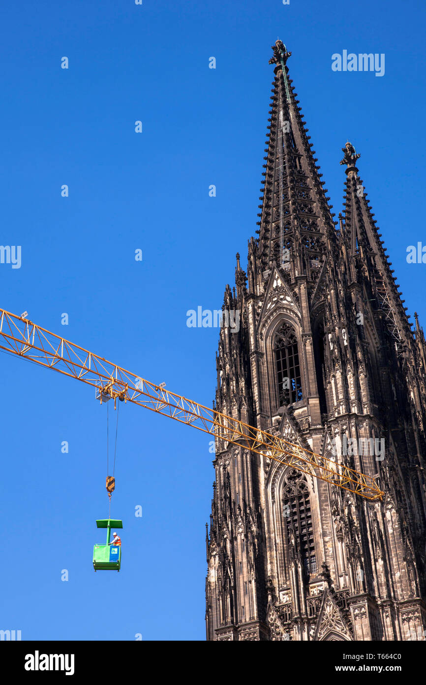 Arbeiter in einer Kran- käfig vor der Kathedrale, Köln, Deutschland. Arbeiter in einer Krangondel vor dem Dom, Baustelle, Koeln, Deutschland. Stockfoto