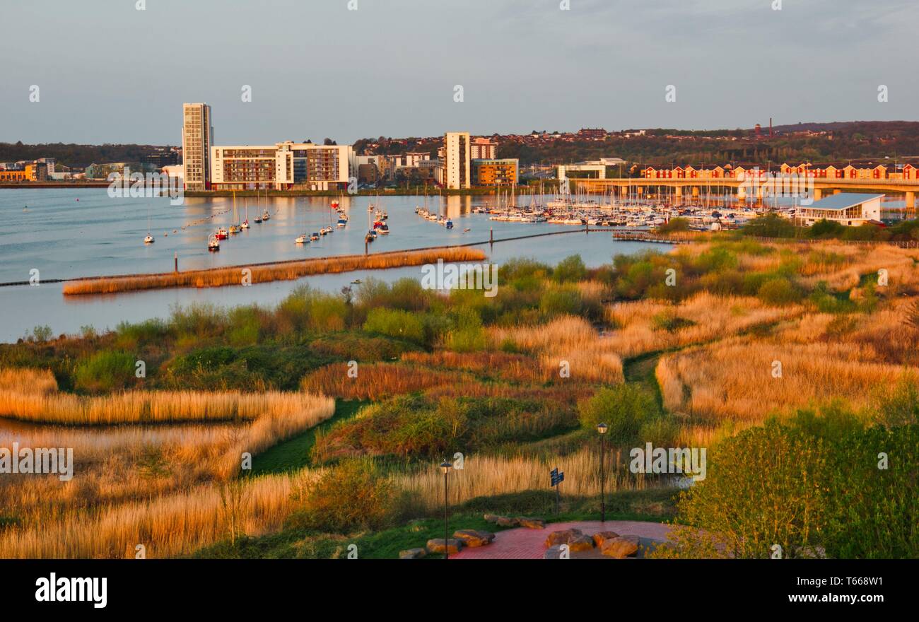 Cardiff Bay Feuchtgebiete finden, Cardiff Bay, Cardiff, Wales, Vereinigtes Königreich Stockfoto