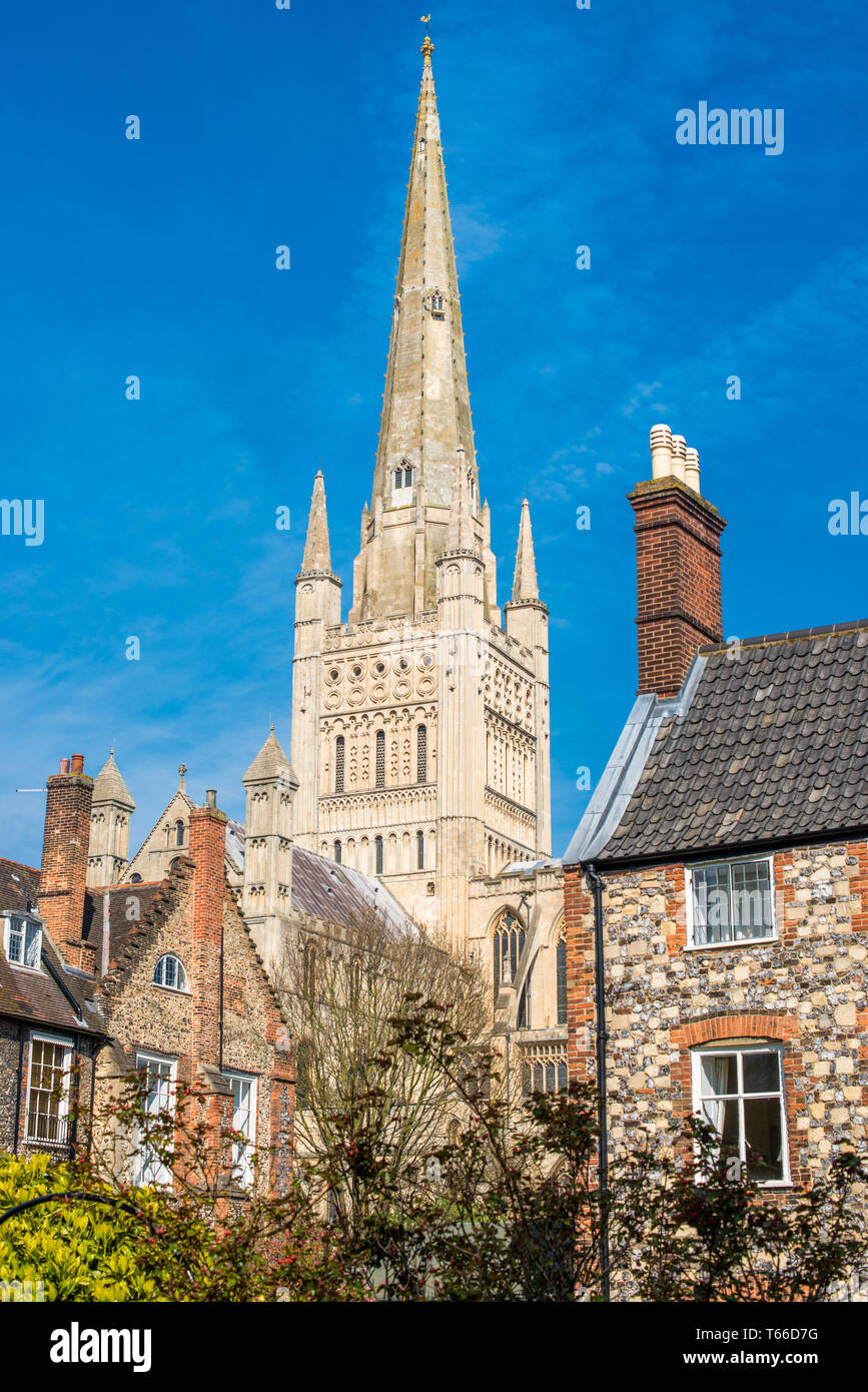 Norwich Cathedral im Stadtzentrum von Norwich, Norfolk, East Anglia, England, UK. Stockfoto