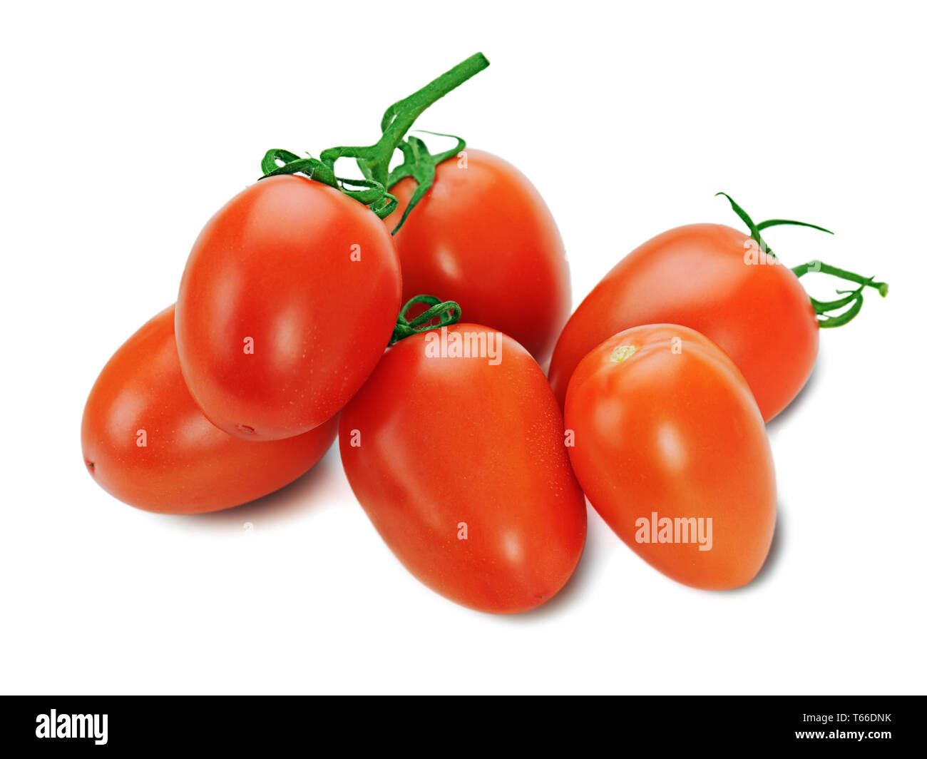 Rote Tomaten auf der Rebe isoliert auf weißem backgro Stockfoto