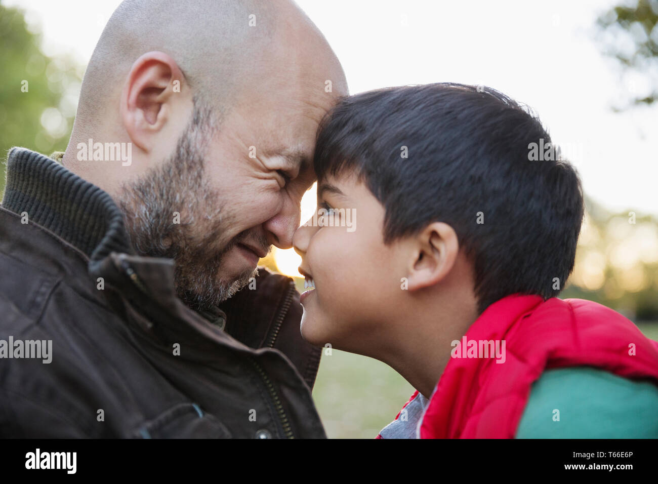 Liebevoller Vater und Sohn reiben Nasen Stockfoto