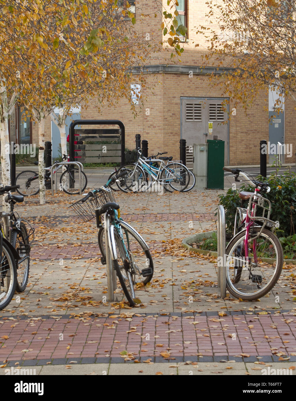 Cycle Park in Cambridge Stockfoto