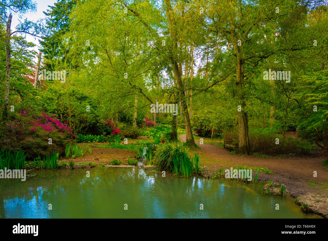 Farbenfrohe natur park Stockfoto