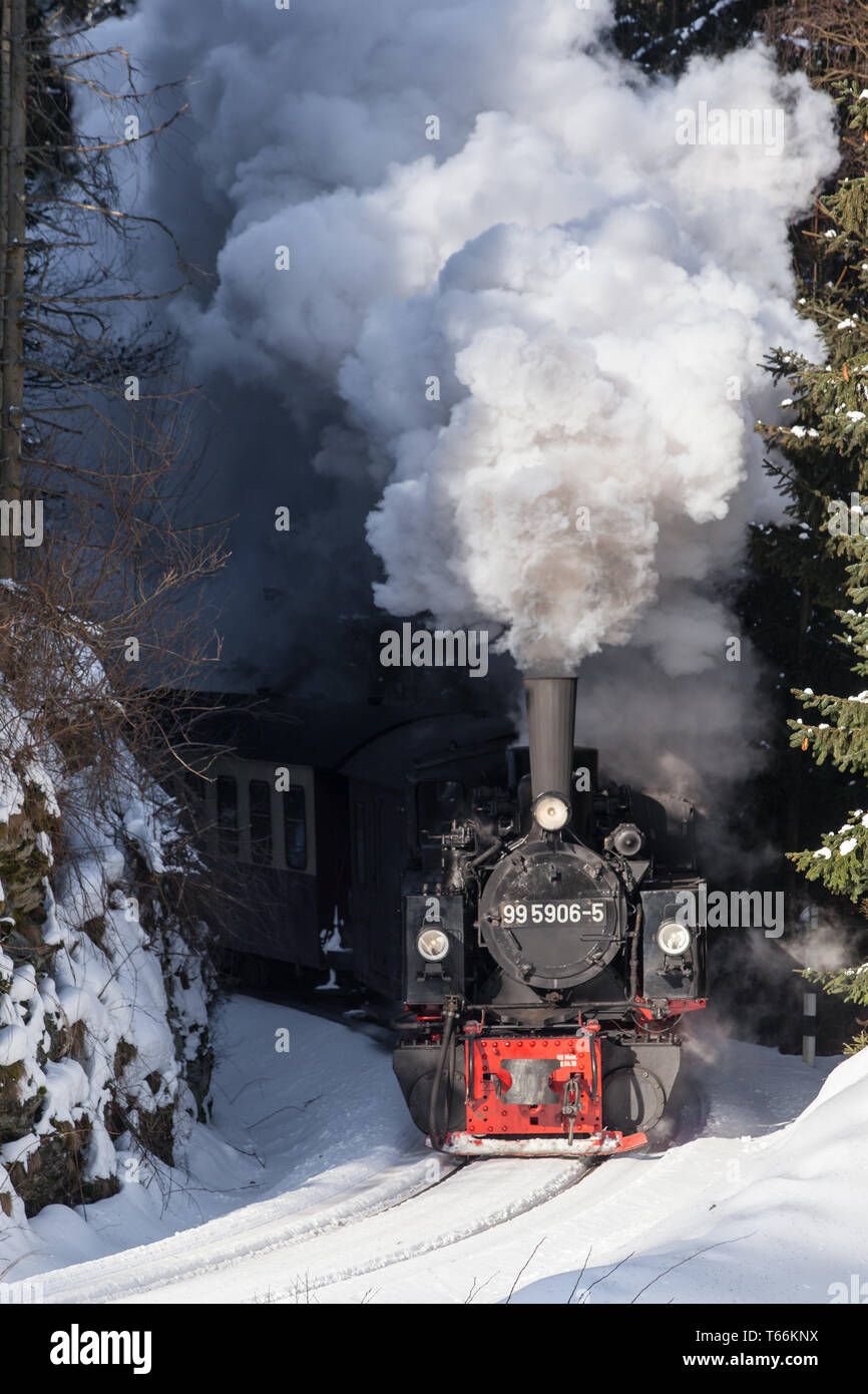 Narrow-Gauge Eisenbahn Harzquerbahn genannt, Selketal, Harz, Deutschland Stockfoto