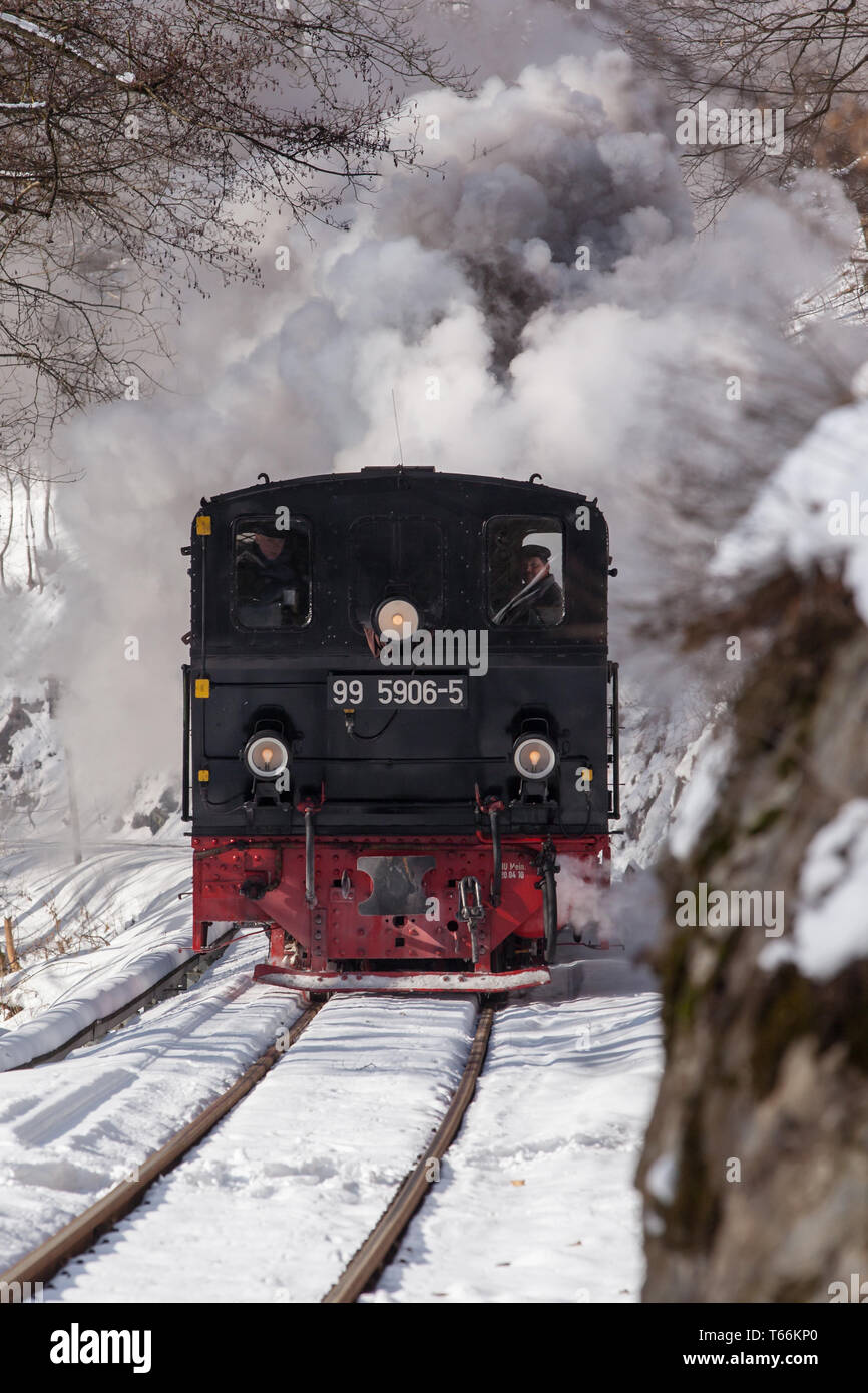 Narrow-Gauge Eisenbahn Harzquerbahn genannt, Selketal, Harz, Deutschland Stockfoto