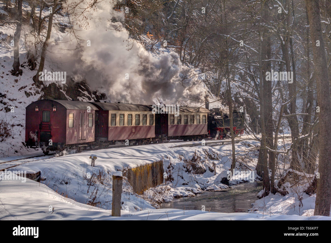 Narrow-Gauge Eisenbahn Harzquerbahn genannt, Selketal, Harz, Deutschland Stockfoto