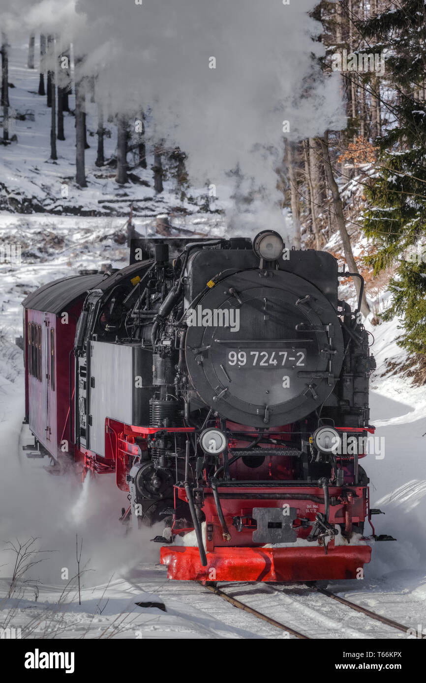 Narrow-Gauge Eisenbahn Harzquerbahn genannt, Selketal, Harz, Deutschland Stockfoto