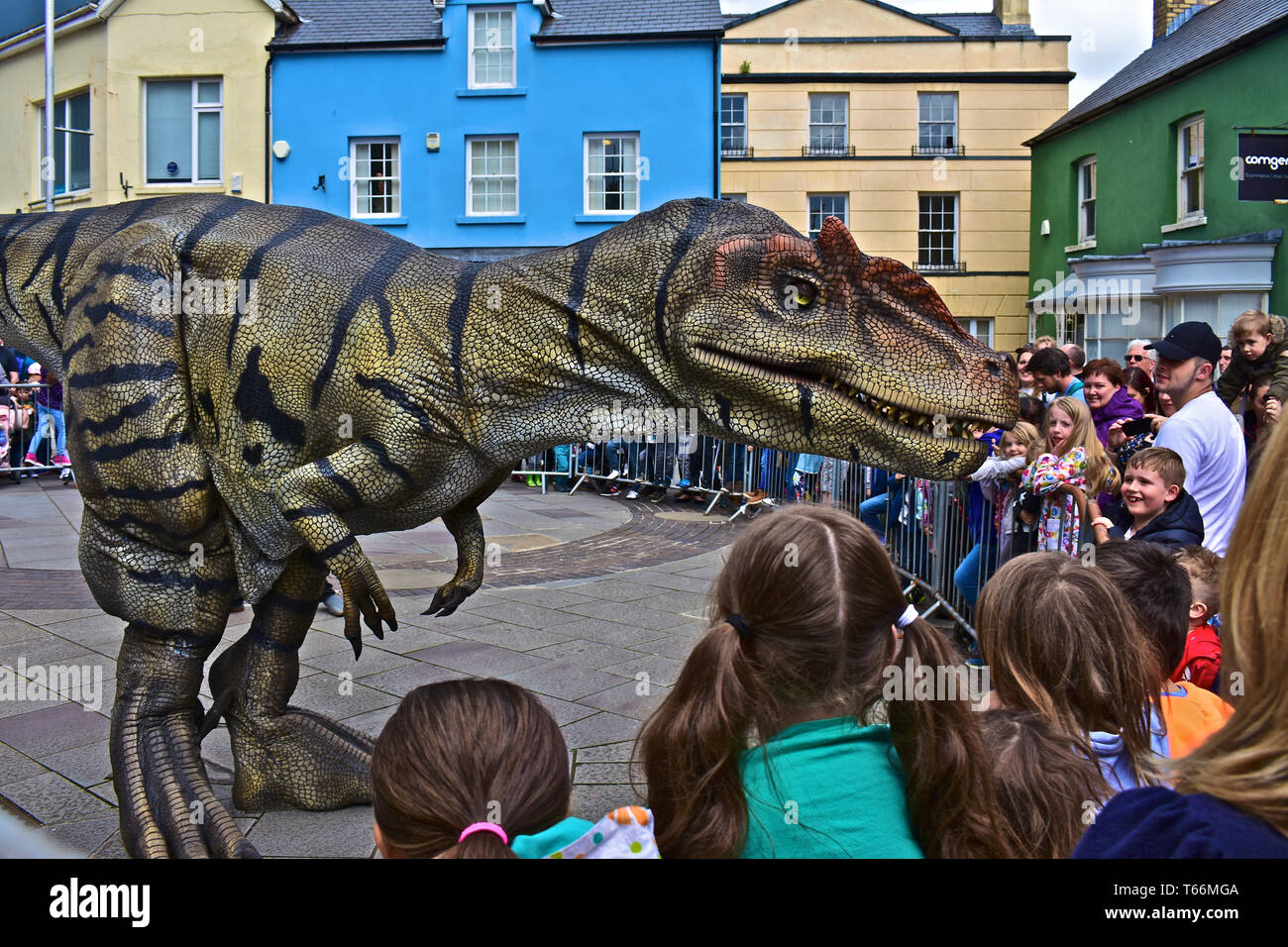 Ein Dinosaurier zum Leben erweckt! "Little Al" begeistert die Massen von Erwachsenen und Kindern am Donnerstag, den 25. April 2019, in der Dunraven in Bridgend, Stockfoto