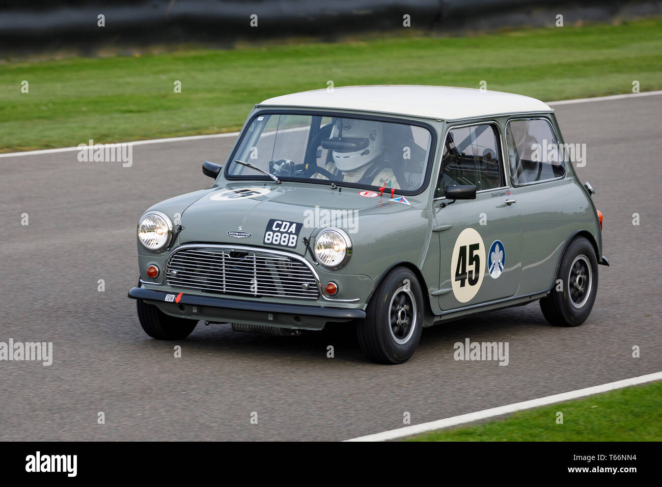 1964 Austin Mini Cooper S mit Fahrer David Ogden während der Betty Richmond Trophy Rennen in der 77. Goodwood GRRC Mitgliederversammlung, Sussex, UK. Stockfoto