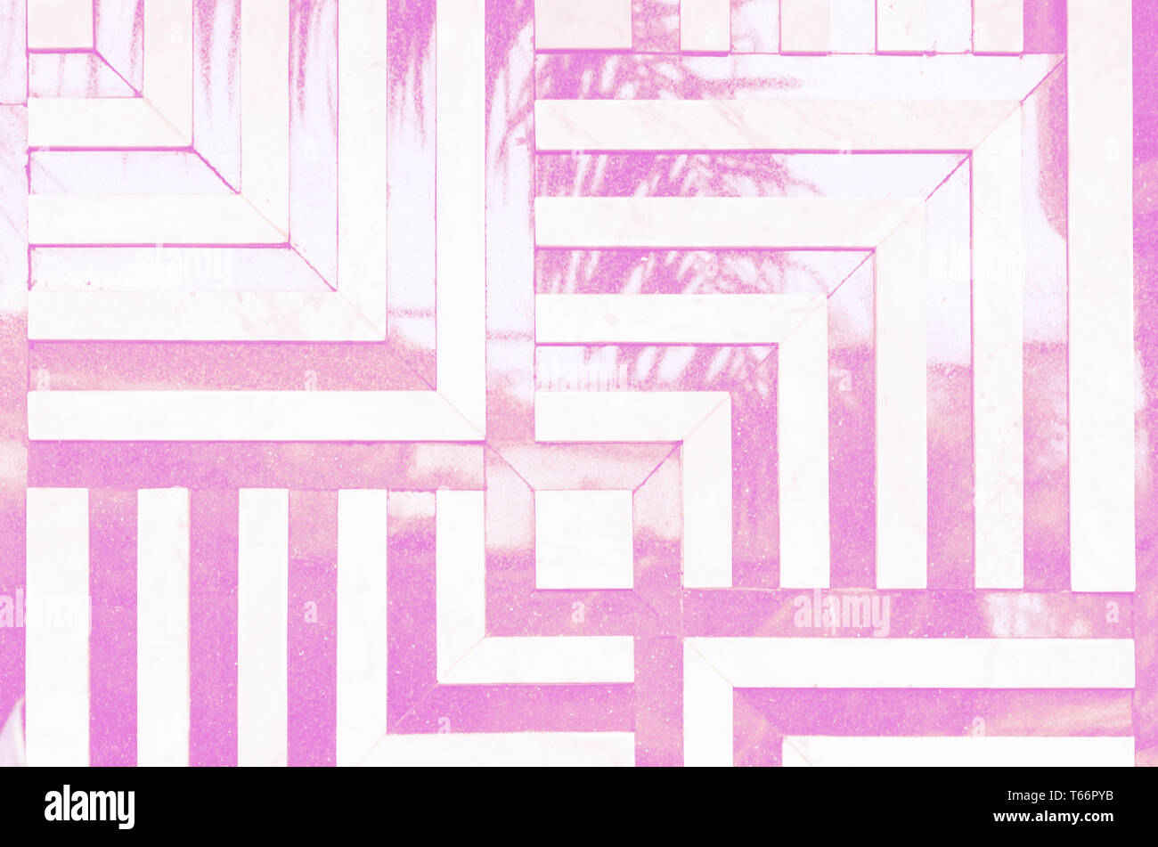 Neon Farben psychedelischen Hintergrund. Linear, eckige Muster von Marmor Fliesen an der Wand. Reflexion der palm leaf. Stockfoto