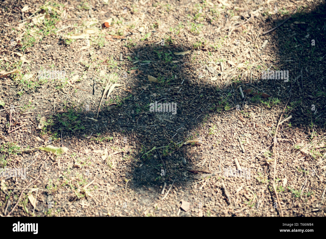 Schatten des Kreuzes auf schmutzigen Boden Stockfoto