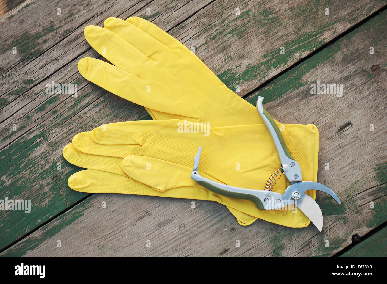 Gelbe Gummihandschuhe und Garten Gartenschere auf hölzernen b Stockfoto