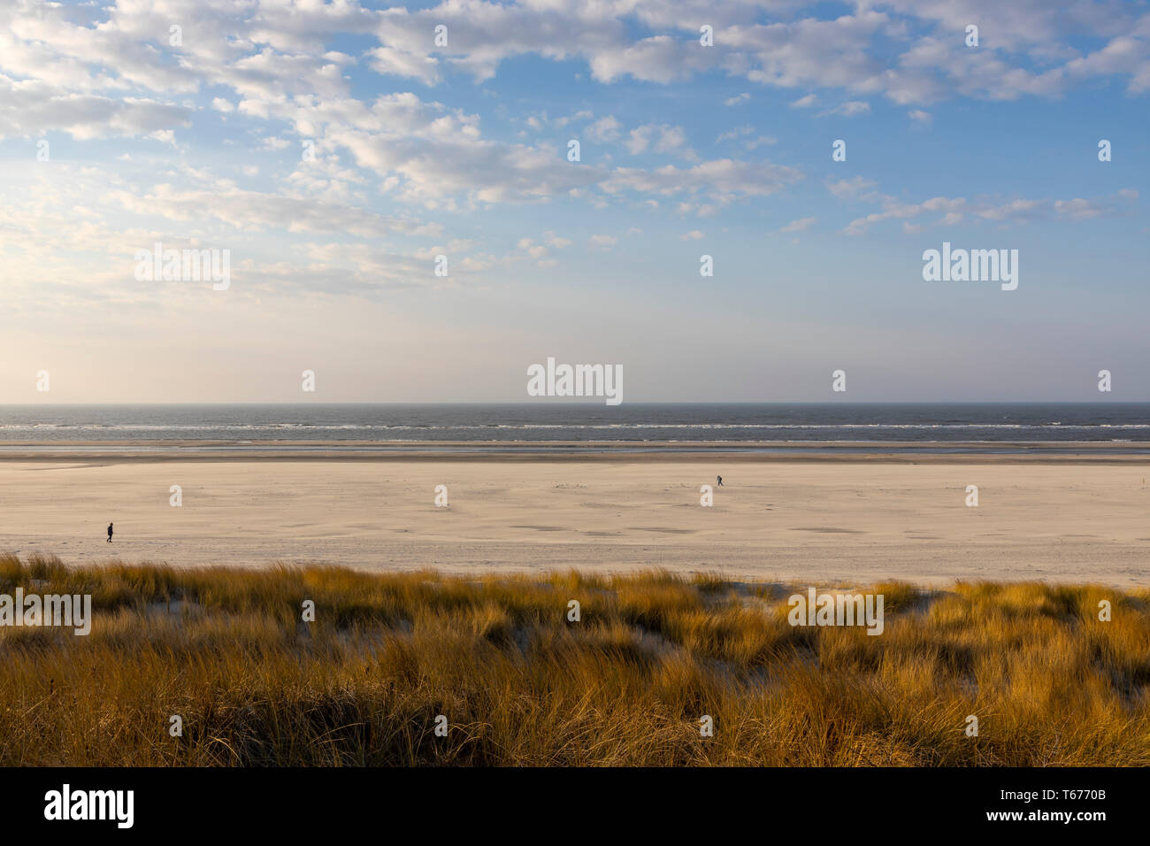 Nordsee Insel Juist, Ostfriesland, Strand, Dünen Landschaft, Niedersachsen, Deutschland, Stockfoto