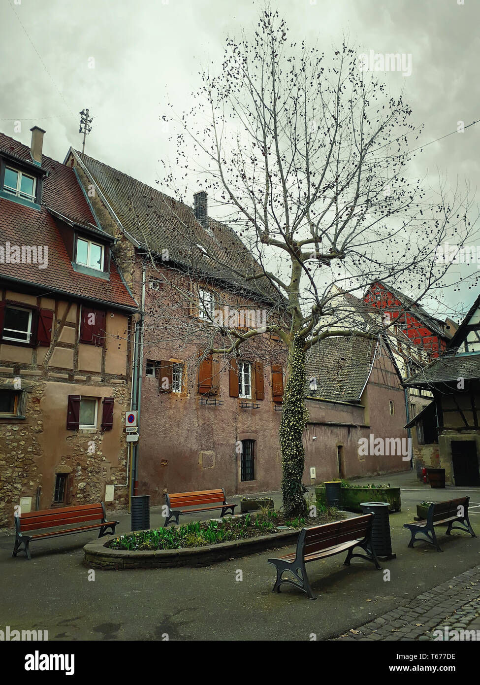 Eguisheim Dorfplatz mit Fachwerkhäuser mittelalterlichen Häusern entlang im Elsass, Frankreich. Ein Baum mit Bänken und alten Gebäuden umgeben. Stockfoto