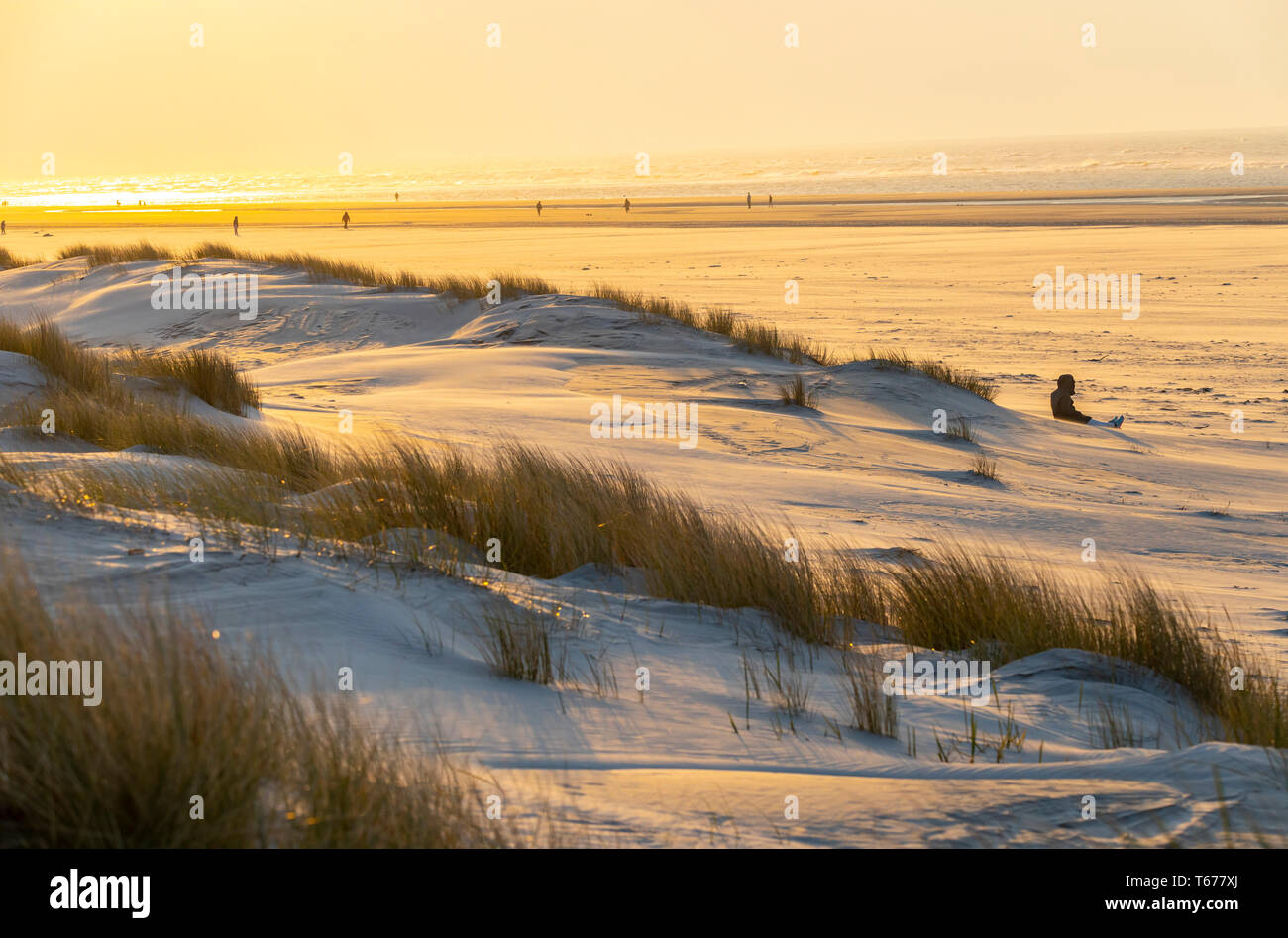 Nordsee Insel Juist, Ostfriesland, Strand, Dünen, Landschaft, Sonnenuntergang, Niedersachsen, Deutschland, Stockfoto