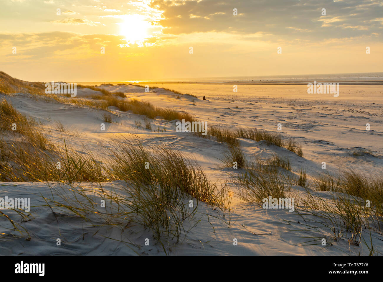 Nordsee Insel Juist, Ostfriesland, Strand, Dünen, Landschaft, Sonnenuntergang, Niedersachsen, Deutschland, Stockfoto
