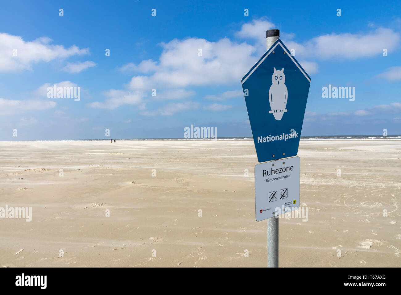 Nordsee Insel Juist, Ostfriesland, Naturschutzgebiet, in den Nationalpark Wattenmeer, am westlichen Ende, Billriff, Niedersachsen, Deutschland, Stockfoto