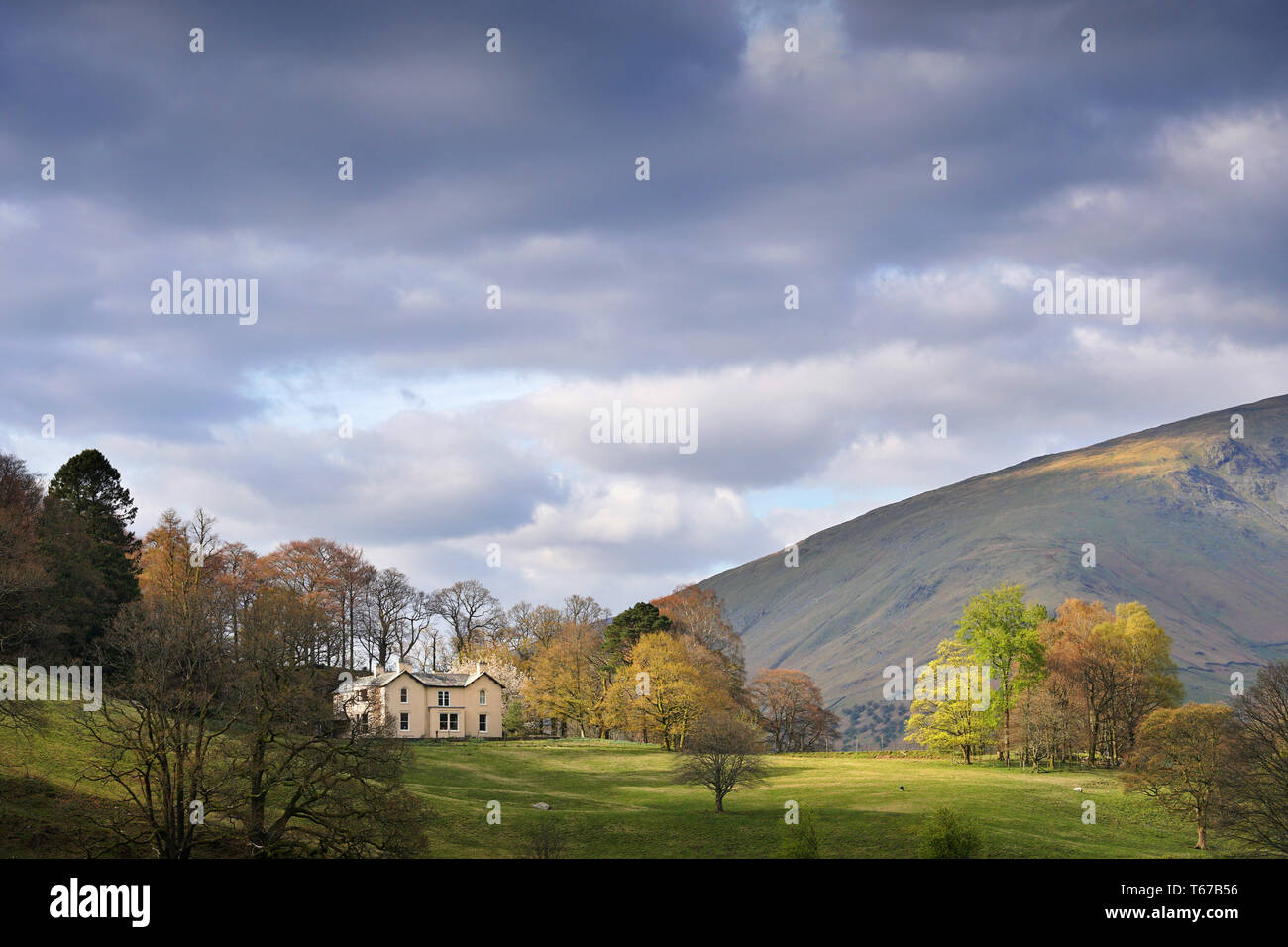 Grasmere Cumbria Lake District in Großbritannien Stockfoto
