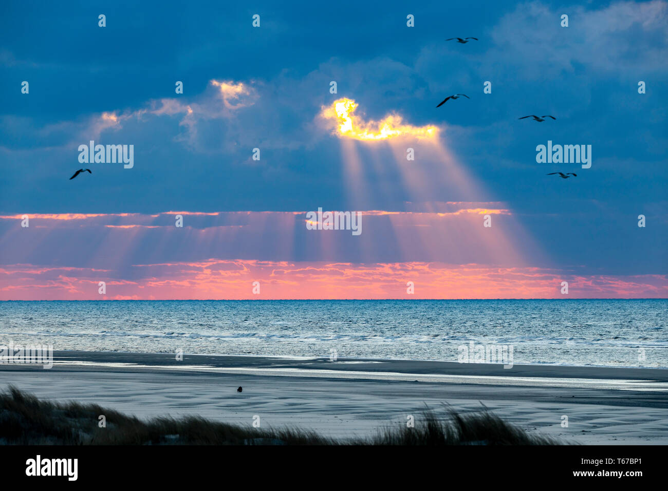 Nordsee Insel Juist, Ostfriesland, Dünen, Strand, Sonnenuntergang, Niedersachsen, Deutschland, Stockfoto
