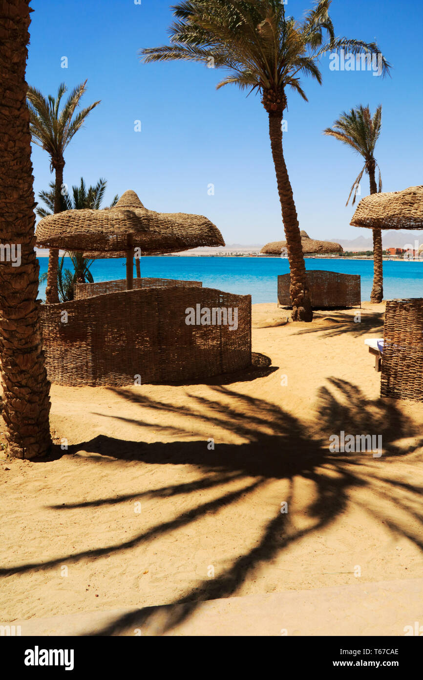 Ein Strand und Palmen am Roten Meer Resort Sentido Palm Royale an Soma Bay in der Nähe von Hurghada, Ägypten Stockfoto