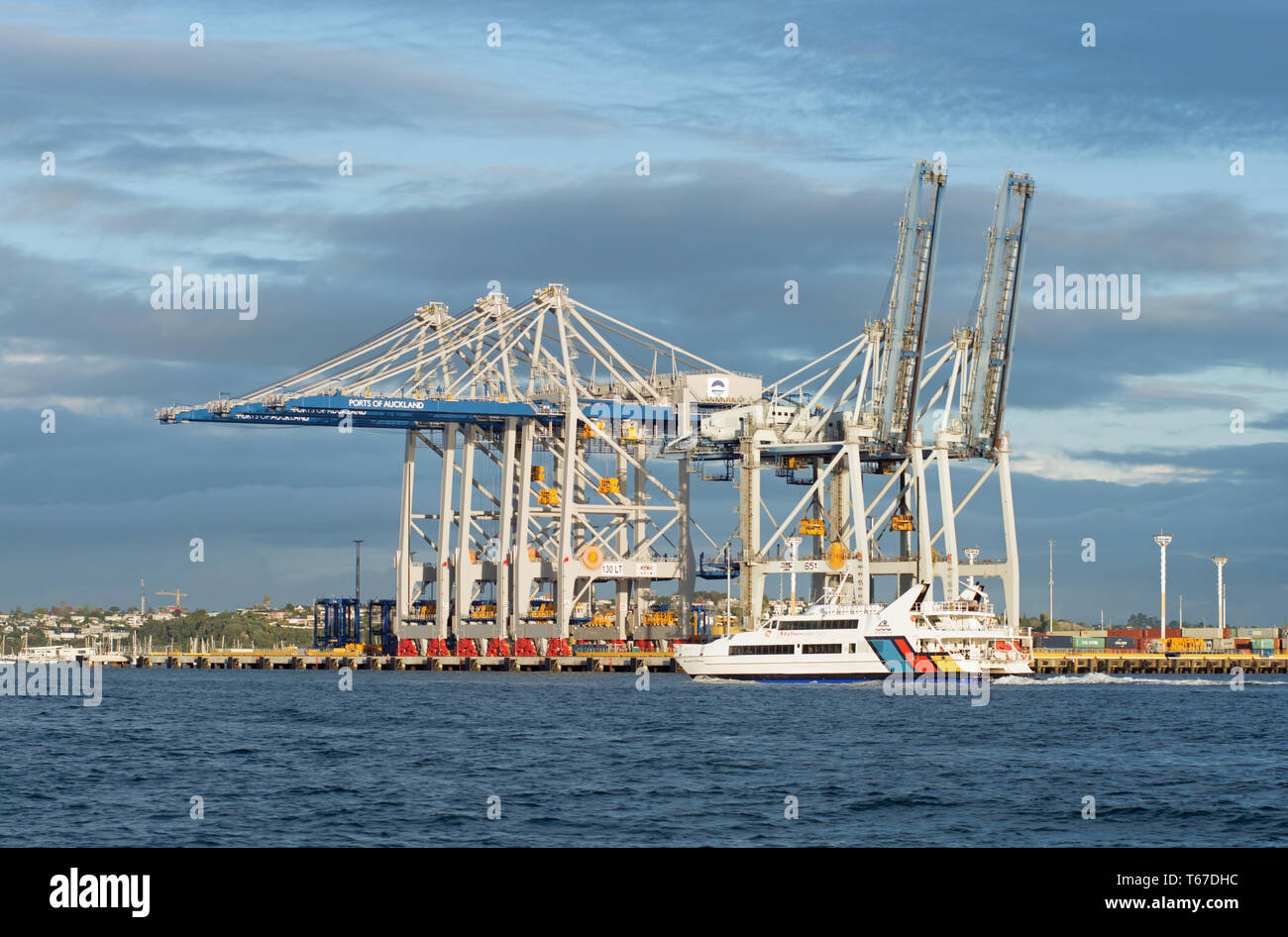 Ports von Auckland Containerbrücken Stockfoto