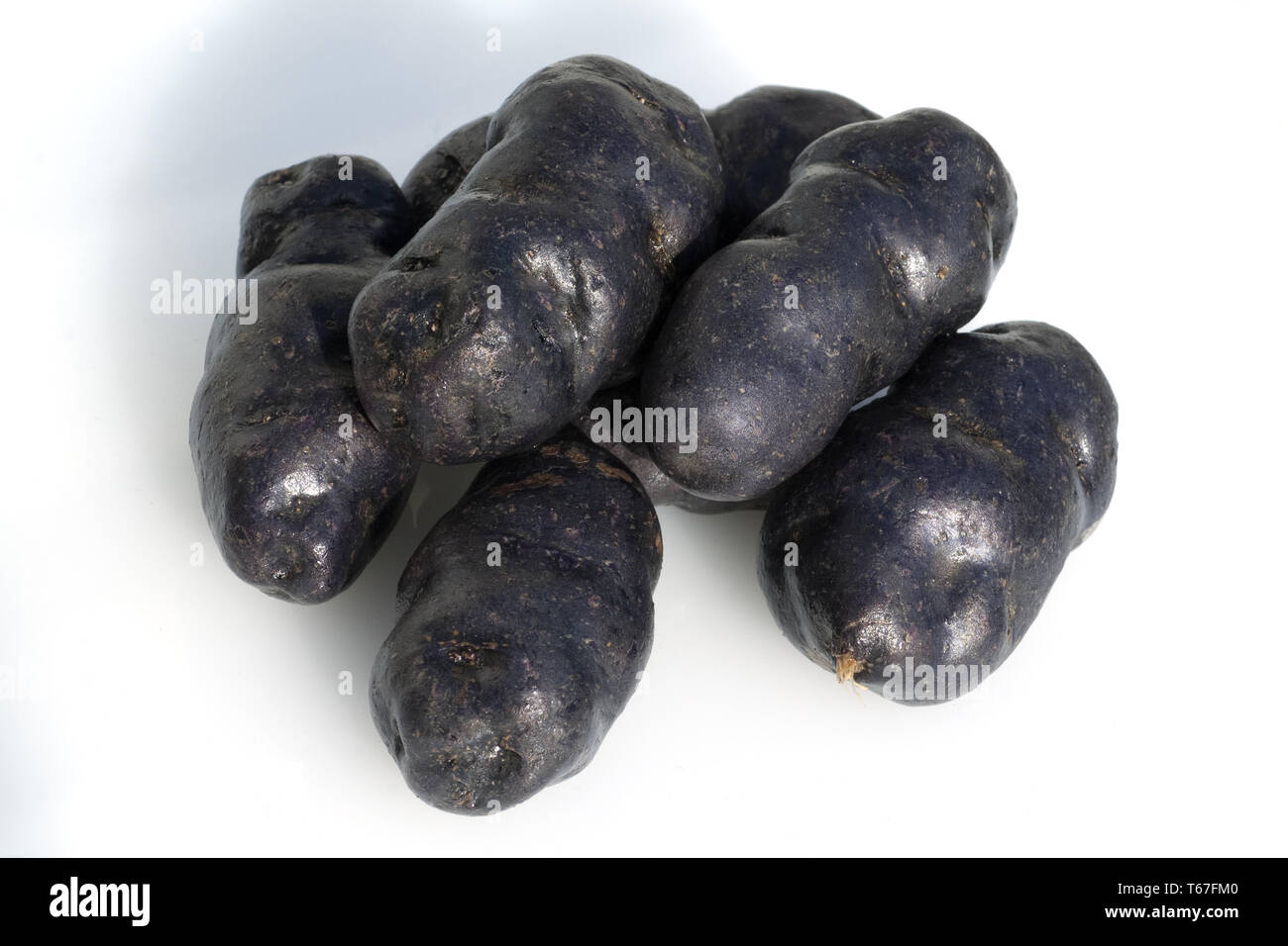 Lila Kartoffeln Stockfoto