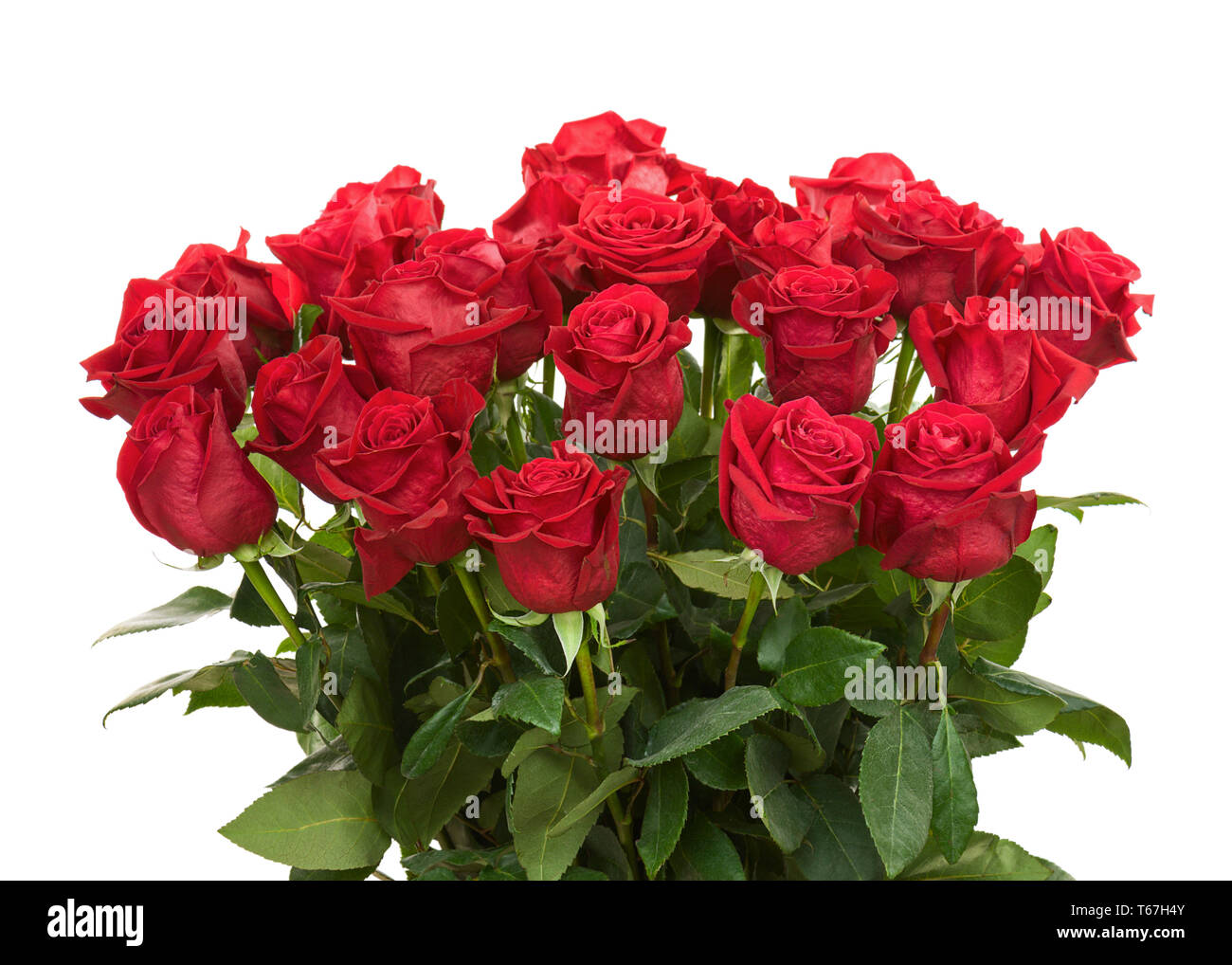 Bunter Blumenstrauß aus roten Rosen auf Isolierte Stockfoto