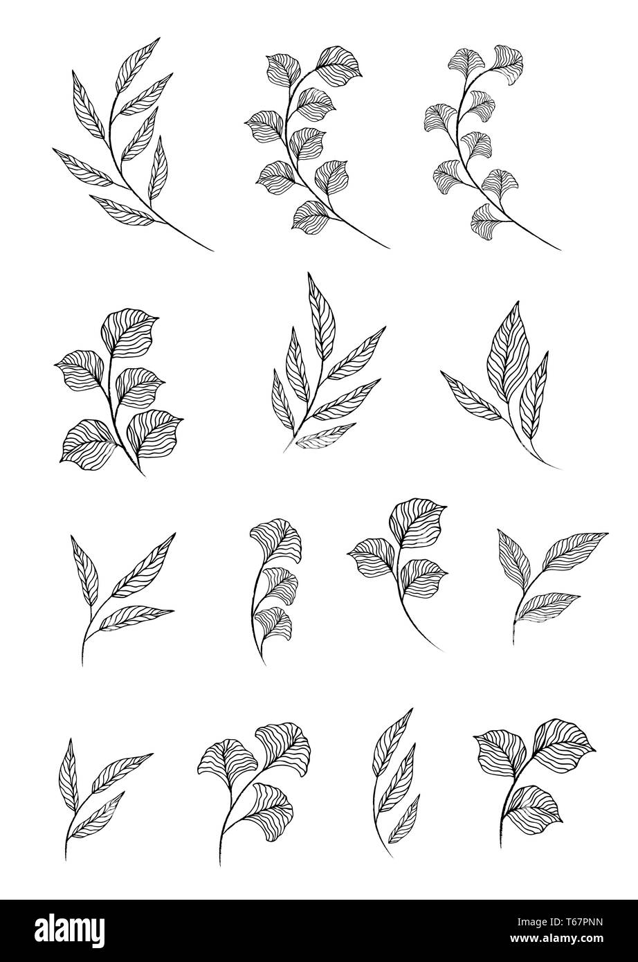 Designer Elemente einstellen Sammlung von greeng verläßt Kräuter in Aquarell Stil. Dekorative Schönheit elegante Illustration für Design Stockfoto