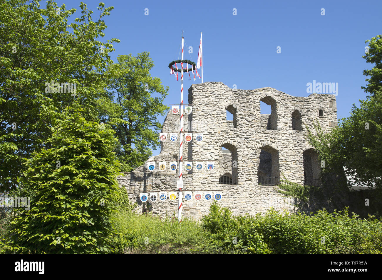 Einrichten des Maipole, einer bayerischen Tradition, Deutschland Stockfoto