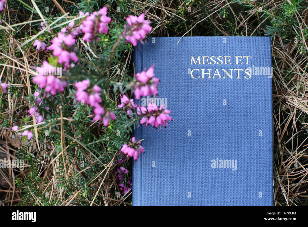 Livre de Messe et Chants dans l'herbe. Stockfoto