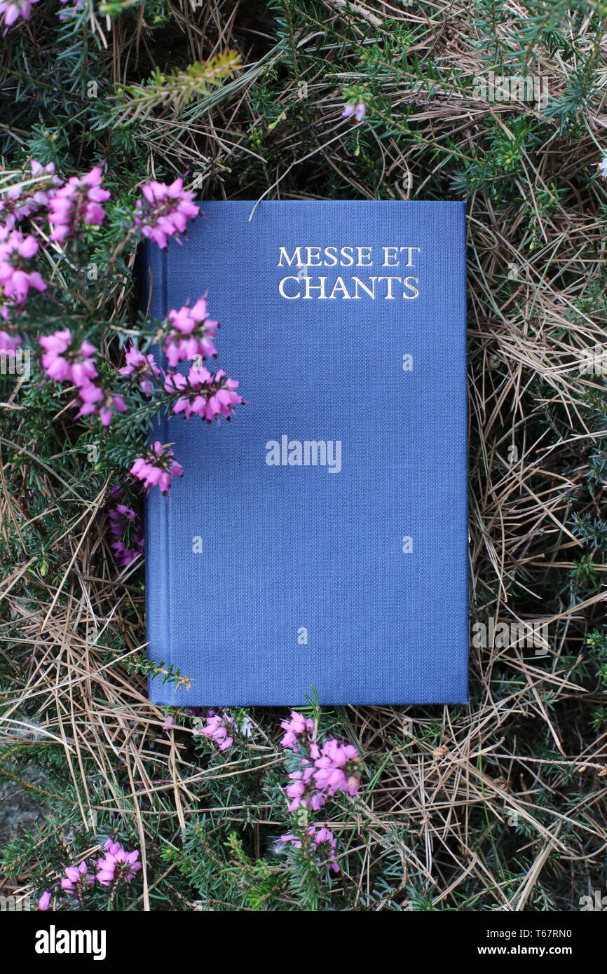 Livre de Messe et Chants dans l'herbe. Stockfoto