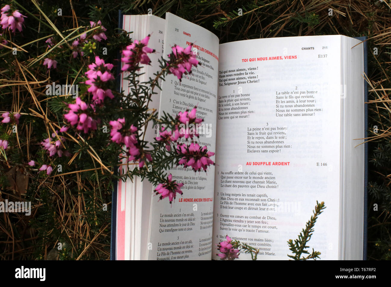 Livre de Messe et Chants ouvert. Stockfoto