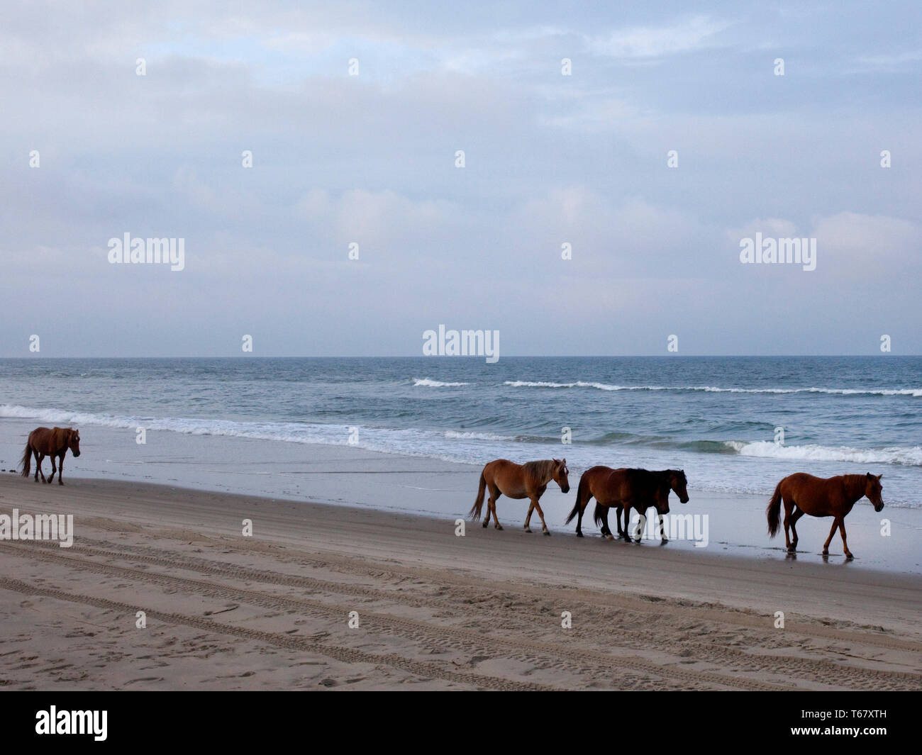 Sommer, Outer Banks, North Carolina, Virginia Stockfoto