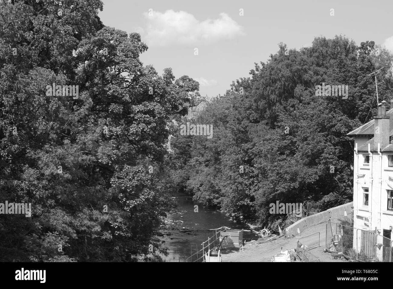 Linn Park, Glasgow Stockfoto