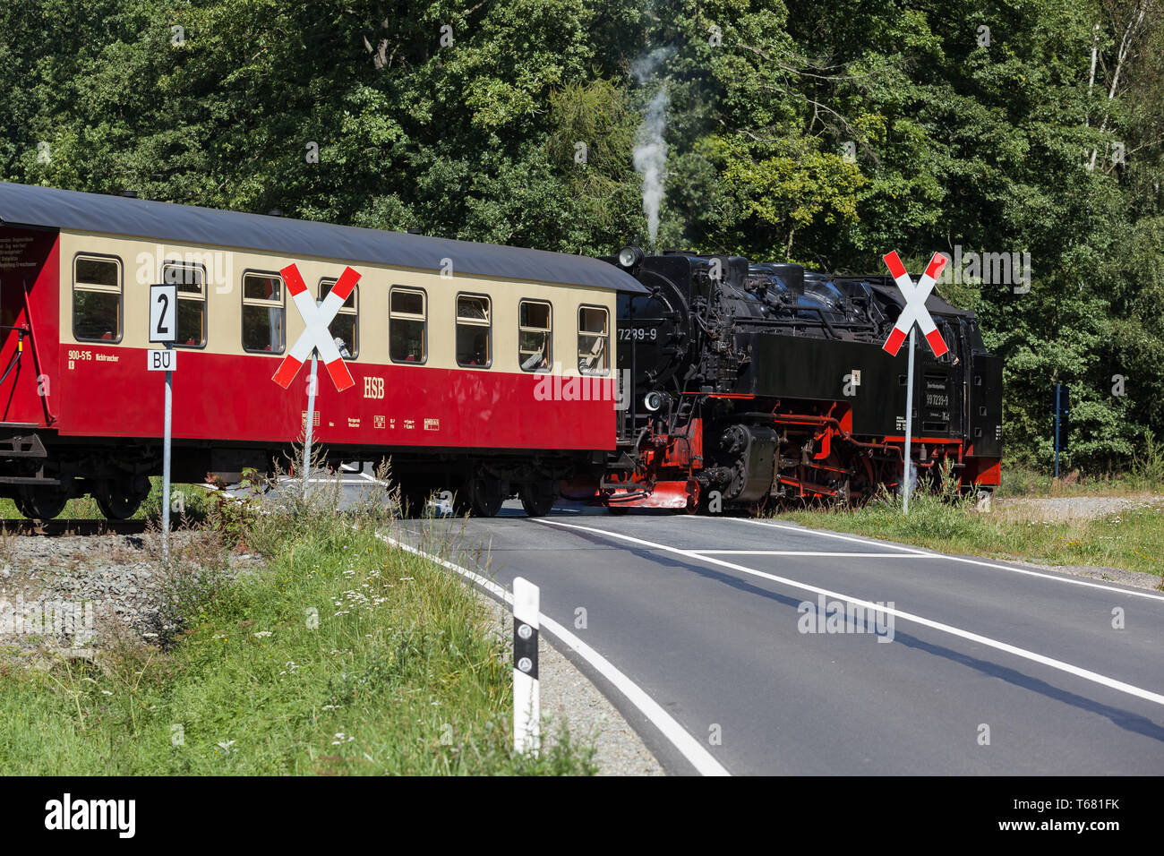 Narrow-Gauge Eisenbahn Harzquerbahn genannt, Selketal, Harz, Deutschland Stockfoto