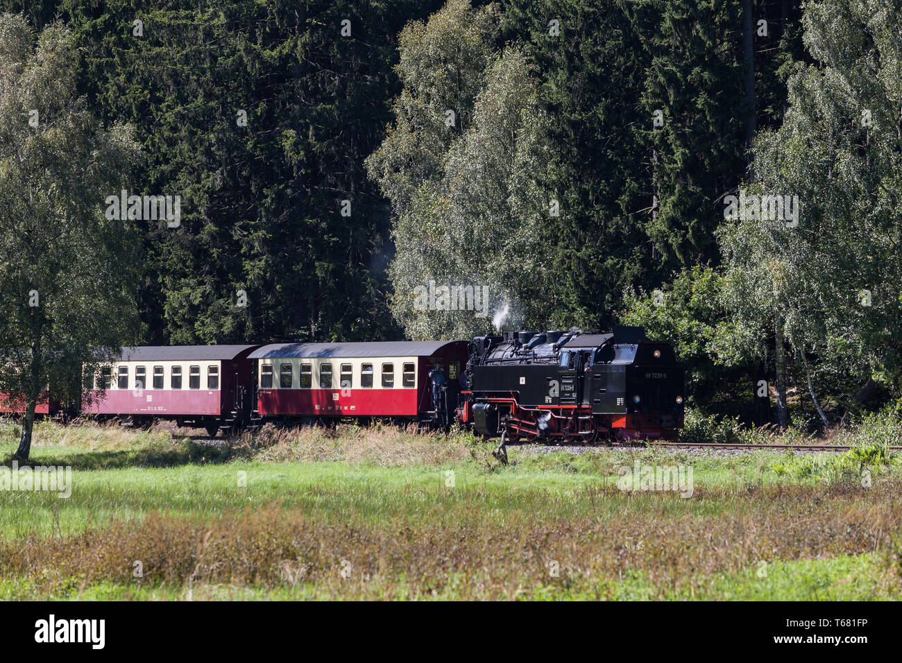 Narrow-Gauge Eisenbahn Harzquerbahn genannt, Selketal, Harz, Deutschland Stockfoto