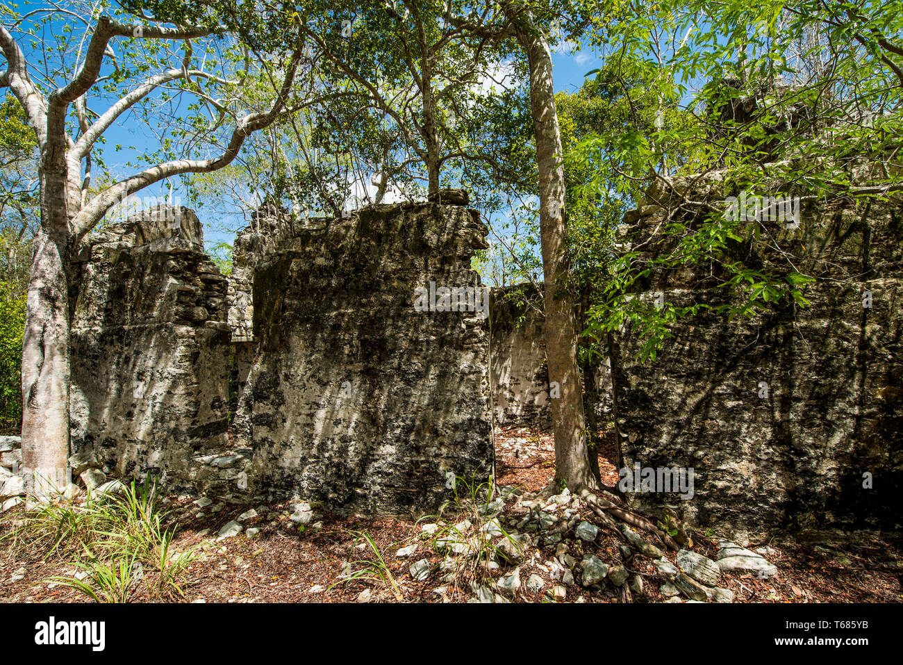 Wade's Green Plantation Historic Site, Kew, North Caicos, Turks- und Caicosinseln, Karibik. Stockfoto