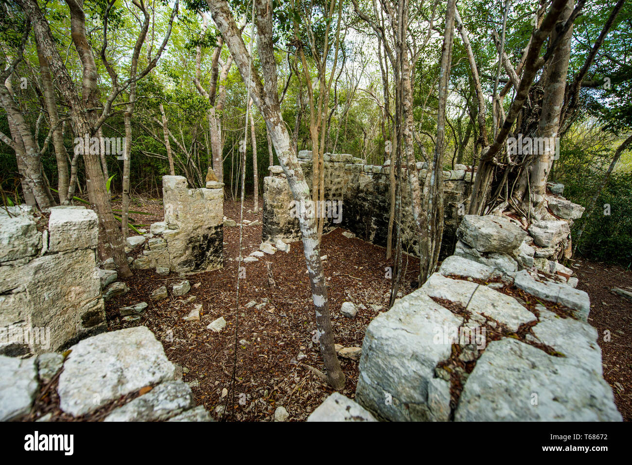 Wade's Green Plantation Historic Site, Kew, North Caicos, Turks- und Caicosinseln, Karibik. Stockfoto