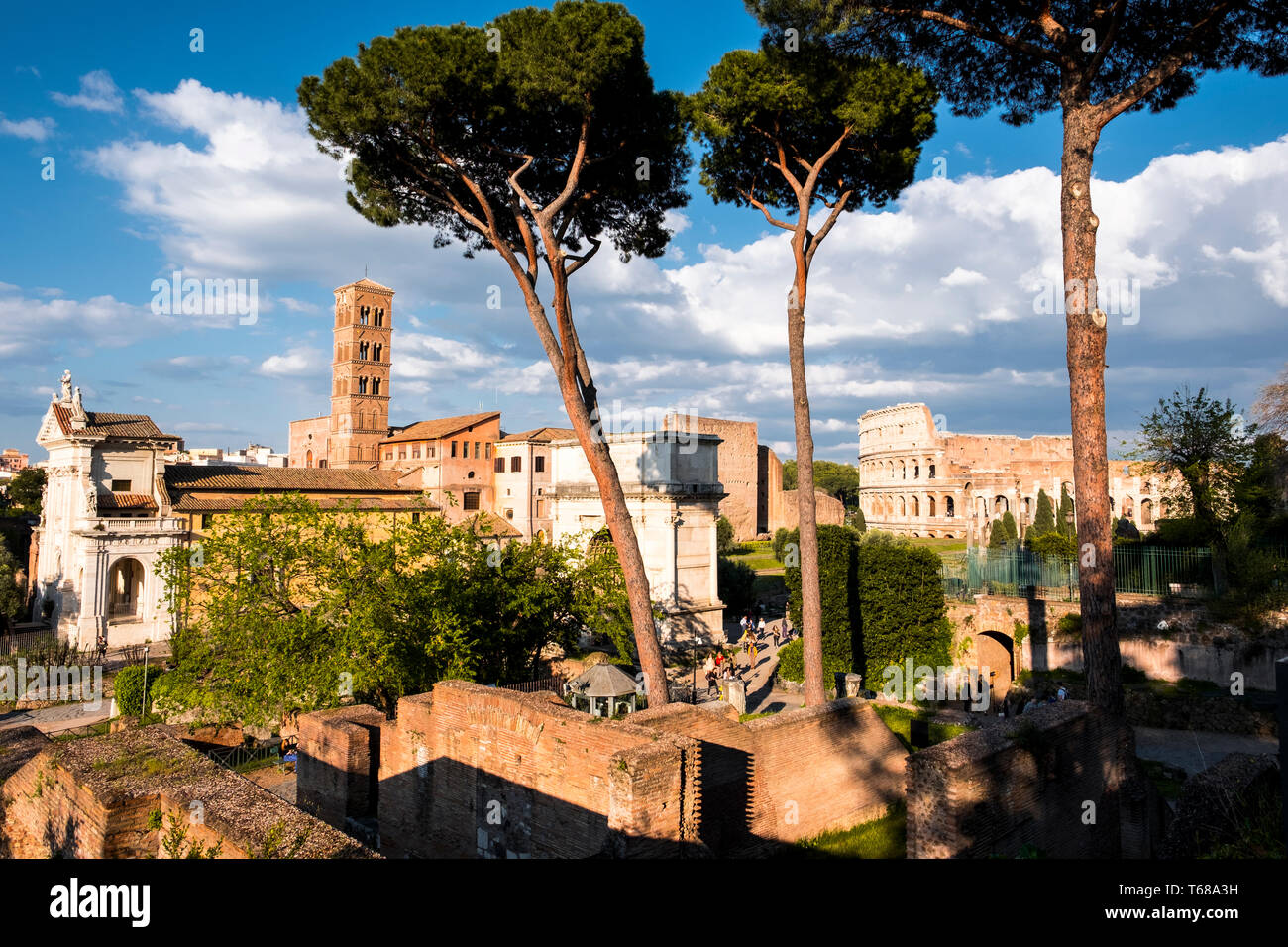 Ruinen des antiken Rom in dem Forum Romanum. Stockfoto